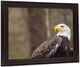 Classy Living Stoic Watcher Wall Art-2