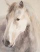Stylecraft Brown/Gray/White Wall Art-1