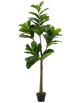 A & B Home Green 6' Fiddle-Leaf Fig Tree in Pot-0