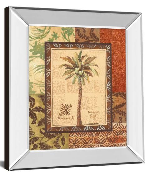 Classy Art Palmaceae Il by Gregory Gorham Mirror Framed Wall Art-1