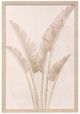 StyleCraft Palms l Wall Art-0