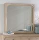 Coaster® Solano Mango Dresser Mirror-1