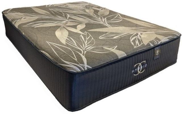 Restonic® ComfortCare® Larissa 13.5" Hybrid Plush Tight Top King Mattress in a Box-0