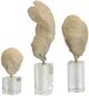 Stylecraft Norman Wyatt Home 3-Piece Natural/Silver Decorative Object Set-1