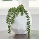 Signature Design by Ashley® Karenton White Vase-3