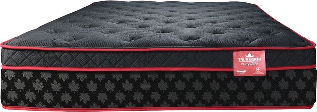 Springwall® True North Chiropractic® Frontenac 12" Wrapped Coil Plush Euro Top Queen Mattress-2