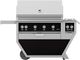 Hestan® Deluxe 6-Burner Stealth Freestanding Liquid Propane Gas Grill-0