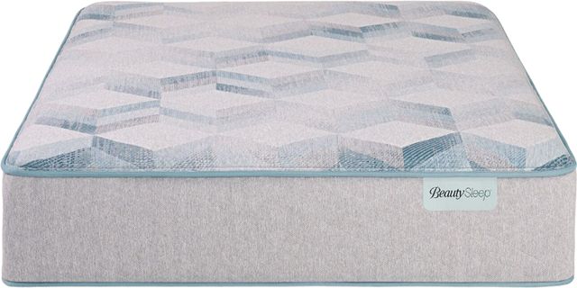 Beautysleep® Dream Weaver™ 12.5" Hybrid Plush Tight Top King Mattress-3