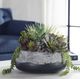Uttermost® Yuma Burgundy/Green Succulent Centerpiece-1