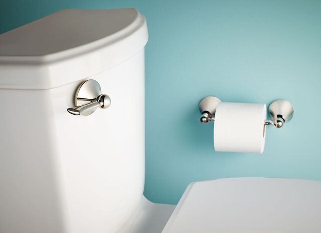 Moen® Wynford™ Chrome Pivoting Paper Holder-1