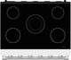 Thor Kitchen S Series 36" Pro Style Electric Range-5