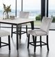 Furniture of America® Sabro 5-Piece White Rectangular Counter Table Set with Black Base-0