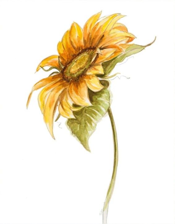 Classy Art Harvest Gold Sunflower I by Patricia Pinto Wall Art-2