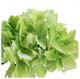 A & B Home Green 14'' Faux Hydrangea-2
