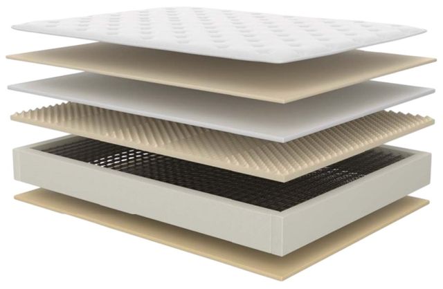 Symbol® Spring Catriona 10" Wrapped Coil Plush Euro Top Twin XL Mattress-2