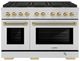 ZLINE Paramount 48" 6.7 cu. ft. Stainless Steel Paramount Dual Fuel Range with 8 Burner DuoPro™ Cooktop and Dual Ovens with Polished Gold Helix Handles and Accents-0