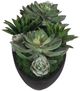 Uttermost® Verde Black/Green Succulent Centerpiece in Bowl-3