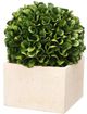 A & B Home Green Medium Faux Boxwood Boxed Topiary-1
