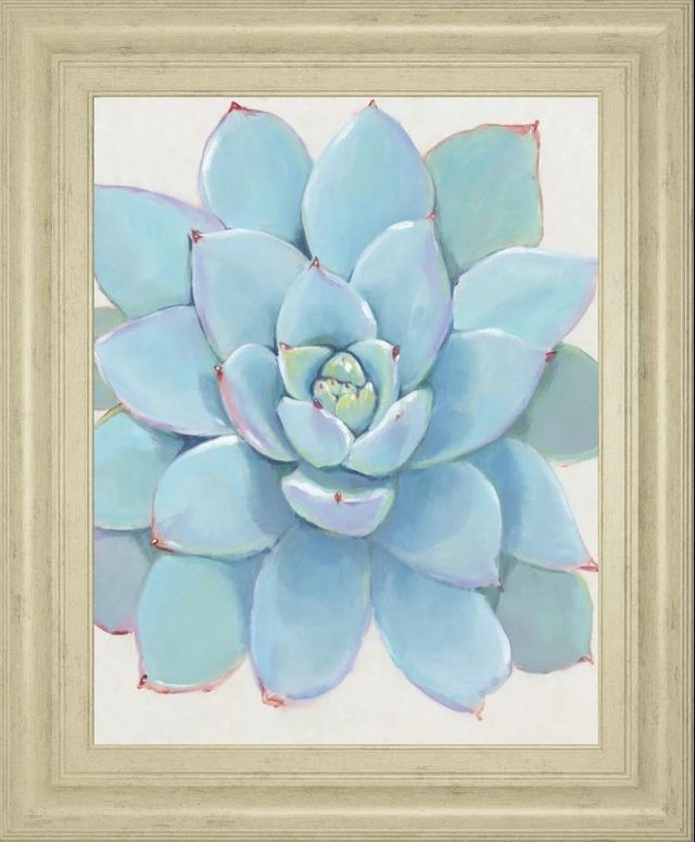 Classy Art Pastel Succulent I by Tim OToole Wall Art-0