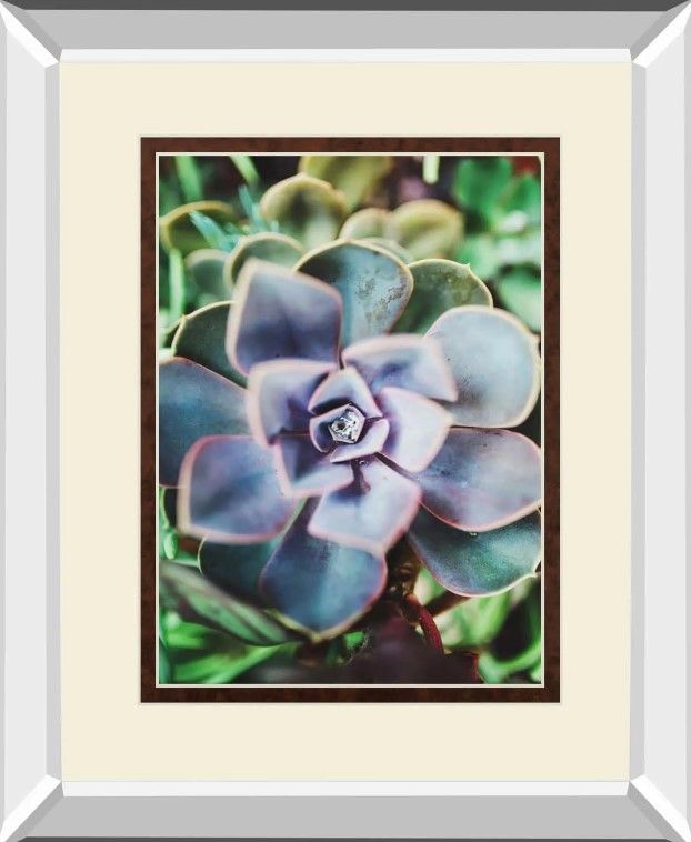 Classy Art Succulence Beauty By Chelsea Kedron Mirror Framed Wall Art-1