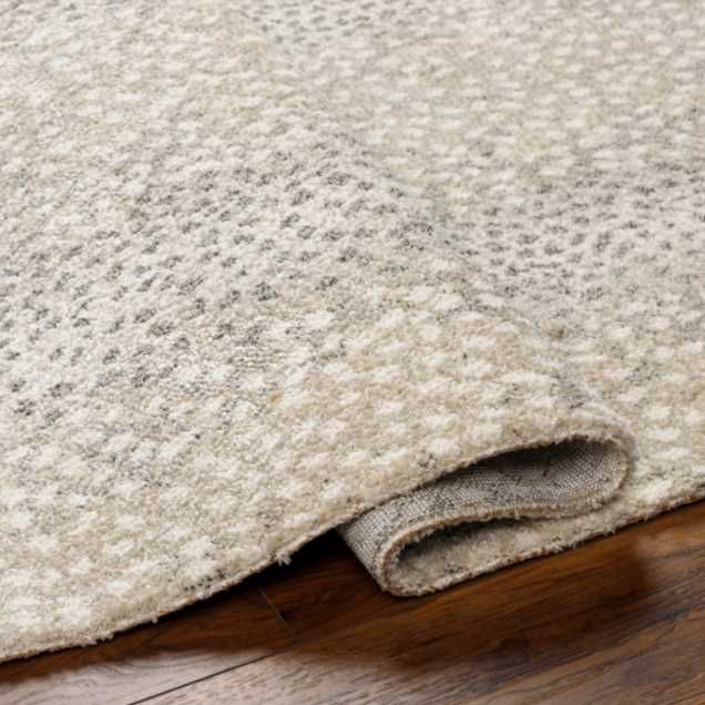 Surya Gavic Beige/Gray 4'x6' Area Rug-4