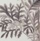 A & B Home 4-Piece Black/White Botanical Fake Pencil Art Set-3
