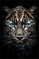 Classy Living Untamed Look In To My Eyes Wall Art-0