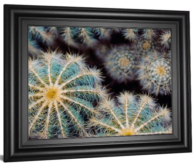 Classy Art Namib By Irene Suchocki Wall Art-0