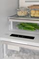 Bertazzoni Professional Series 8.6 Cu. Ft. Panel Ready Column Freezer-4