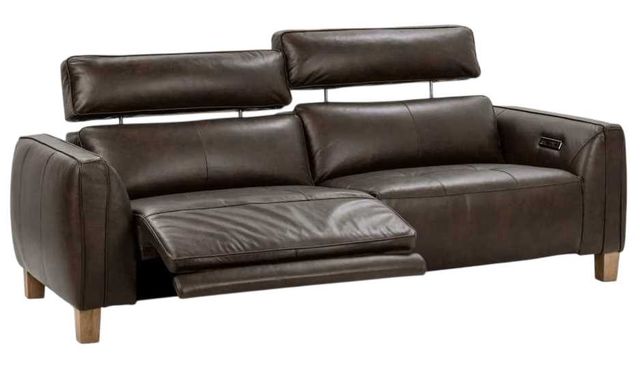 Classic Home Conway Brown Power Reclining Sofa-1