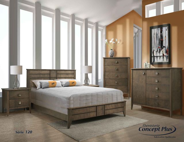 CONCEPT PLUS LIT COMPLET QUEEN-1