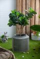 A & B Home Distressed Green 17" Ridged Cement Planter-4