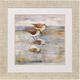 Stylecraft Golden Sandpipers Framed Print-0
