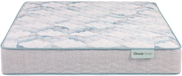 BeautySleep® Dream Weaver™ 11.5" Pocketed Coil Firm Tight Top Queen Mattress-2