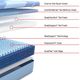 Sealy® Posturepedic® Pro Crenshaw II Hybrid 13" Medium Tight Top California King Mattress-2