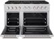 ZLINE Paramount 48" Stainless Steel Pro Style Dual Fuel Range-1