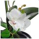 A & B Home White Real Touch Orchid with Ceramic Dish-2