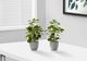 Monarch Specialties Inc. 2-piece 14" Artificial Plant with Pot-1