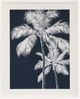 Stylecraft Blue Farm ll Framed Print-0