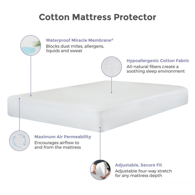 Protect-A-Bed® Naturals Cotton White Twin XL / Split King Mattress Protector-4