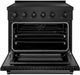 ZLINE Paramount 36" Black Stainless Steel Pro Style Induction Range-1