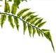A & B Home Green Un-Real Leaves Bush-3