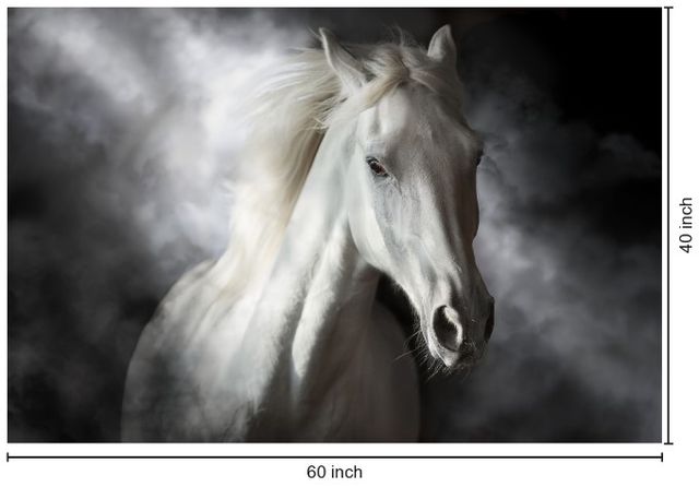 Classy Living Mystical White Horse Wall Art-2