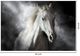 Classy Living Mystical White Horse Wall Art-2