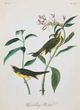 StyleCraft Vintage Warbler III Wall Art-1