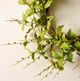 Magnolia Home by Joanna Gaines Green Pips and Ivs Wreath-1