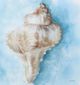 Stylecraft Coastal Calm IV Wall Art-1