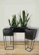Le Present Industri Accia Black Planter-3