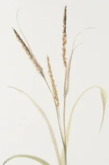 Stylecraft Lyme Grass Beige/Brown Wall Art-1