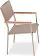 Enclover Acacia Stainless Steel/Teakwood Dining Chair-1